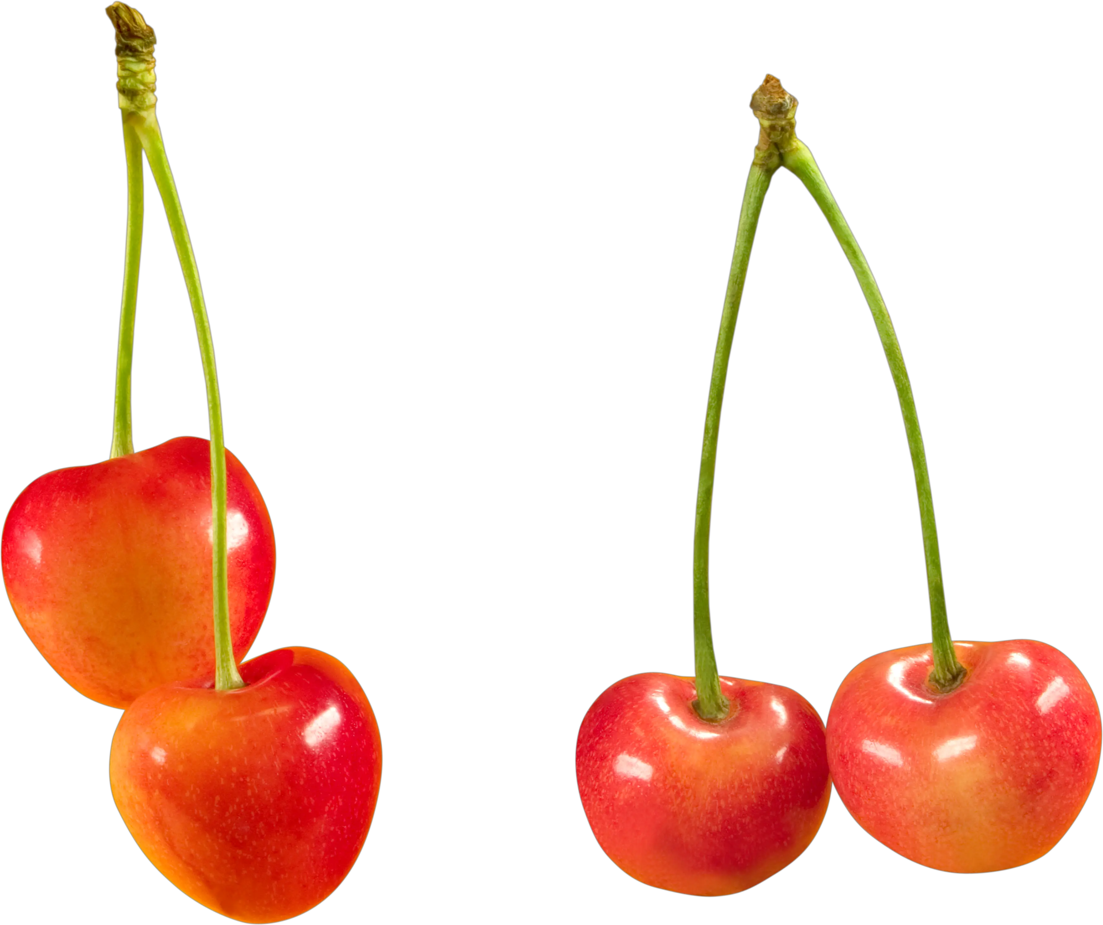 cherry PNG image