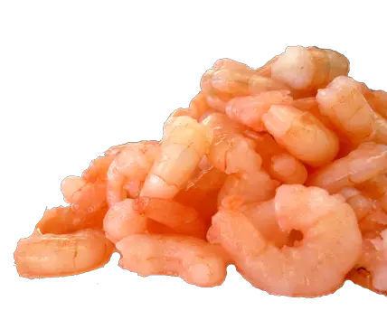 Shrimps PNG