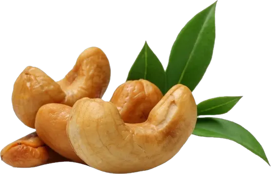 Cashew nut PNG