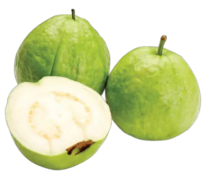 Guava PNG