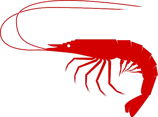 Shrimp PNG image