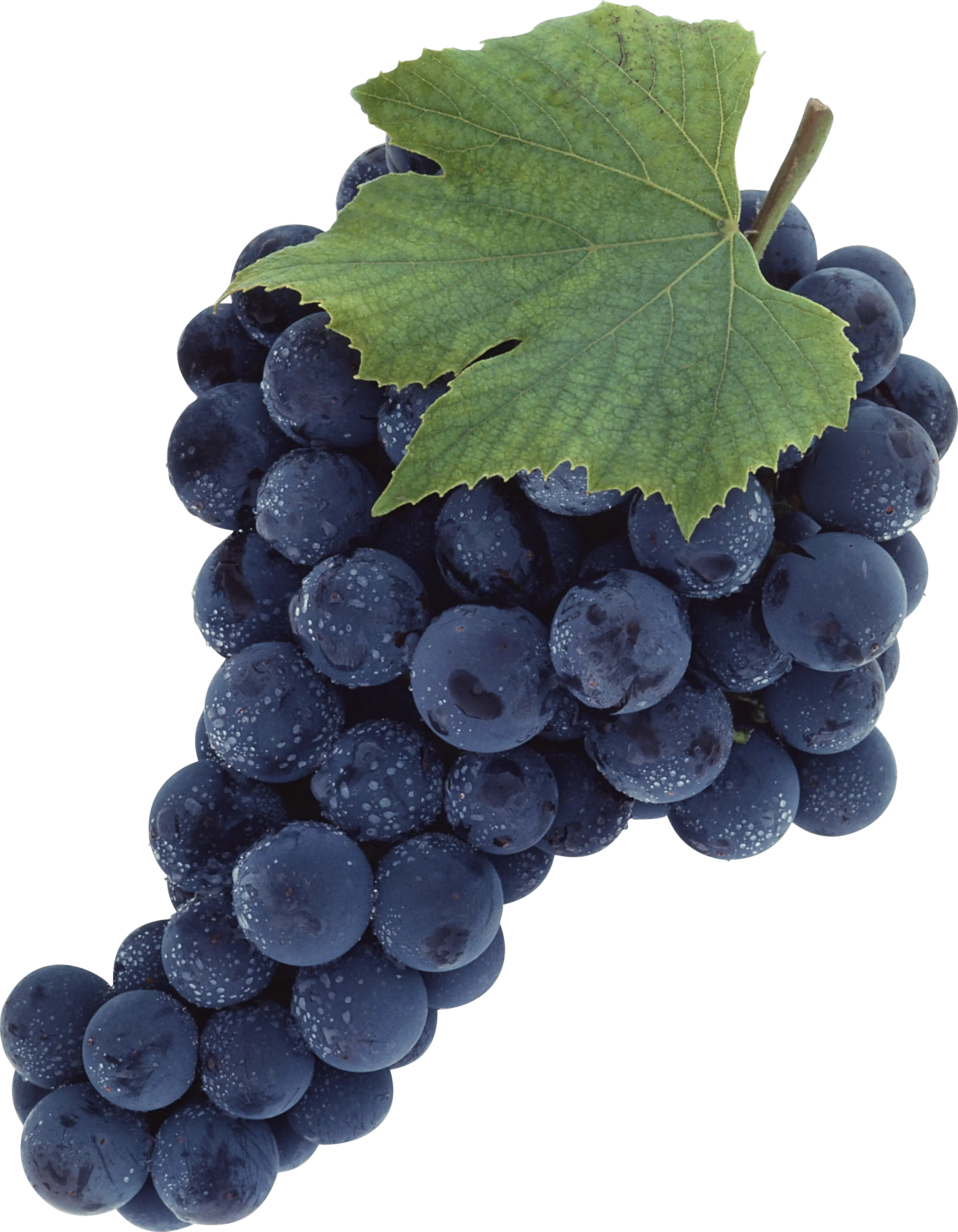 Grape PNG image