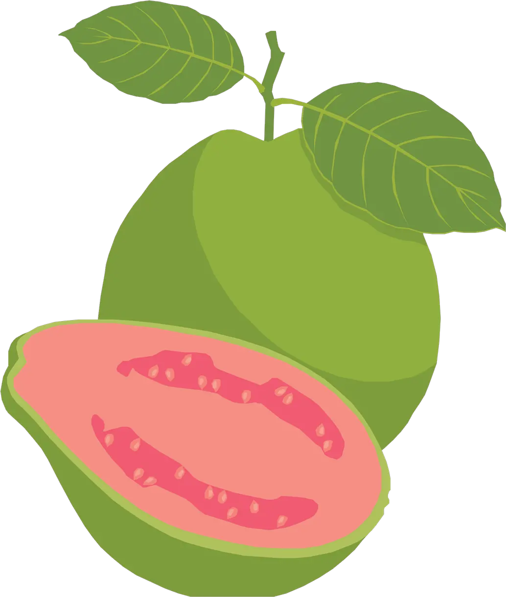 Guava PNG