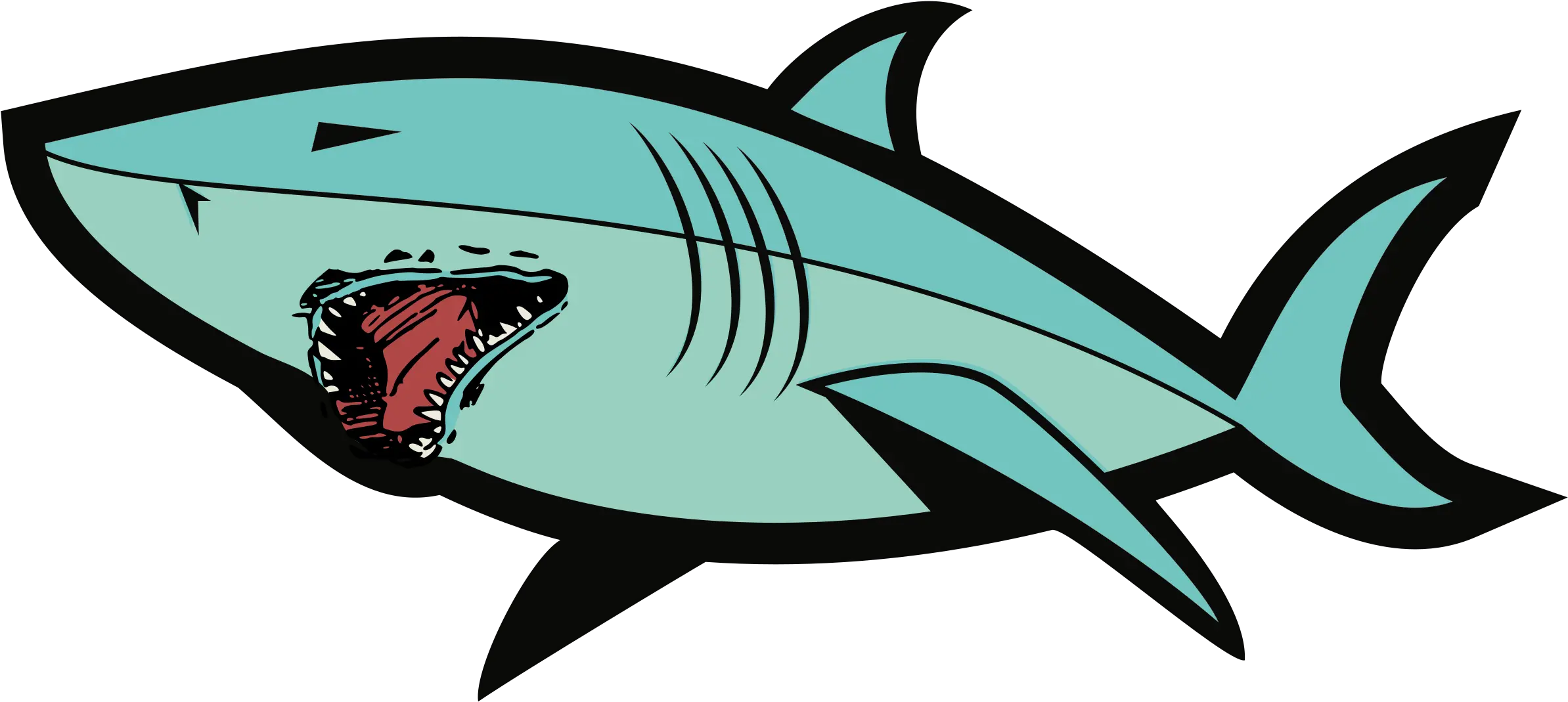 Shark PNG image