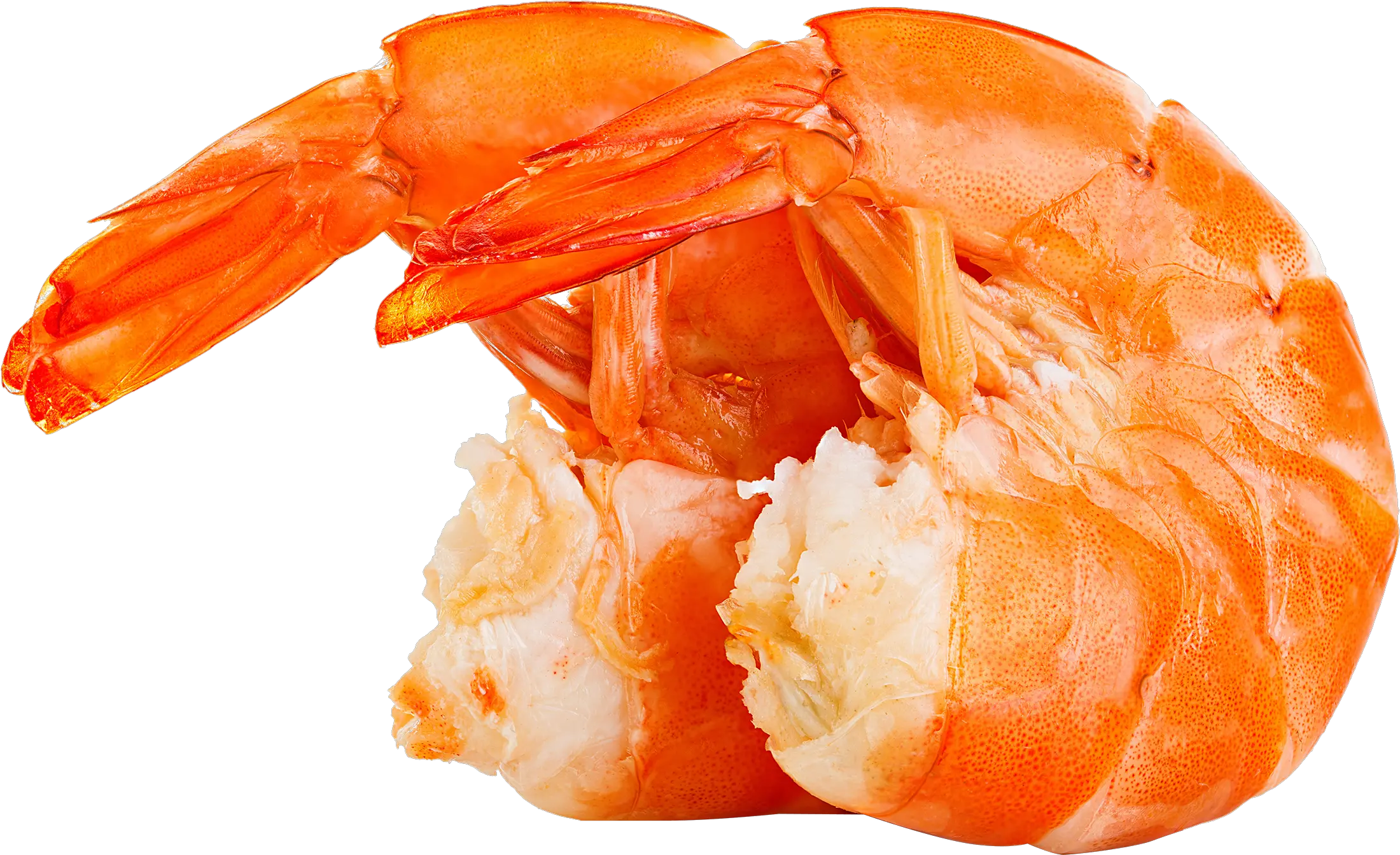 Shrimp PNG image