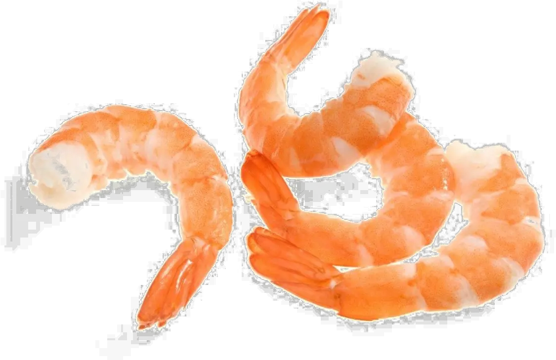 Shrimp PNG image