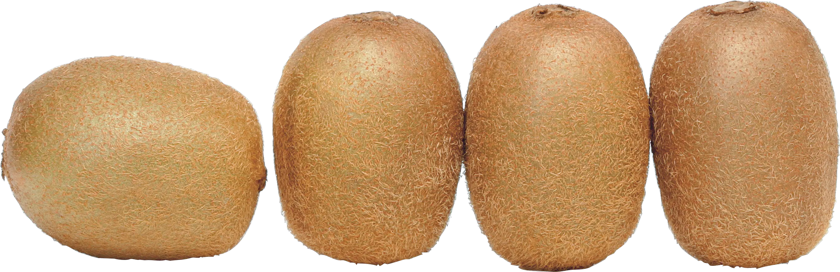 Kiwis PNG image picture