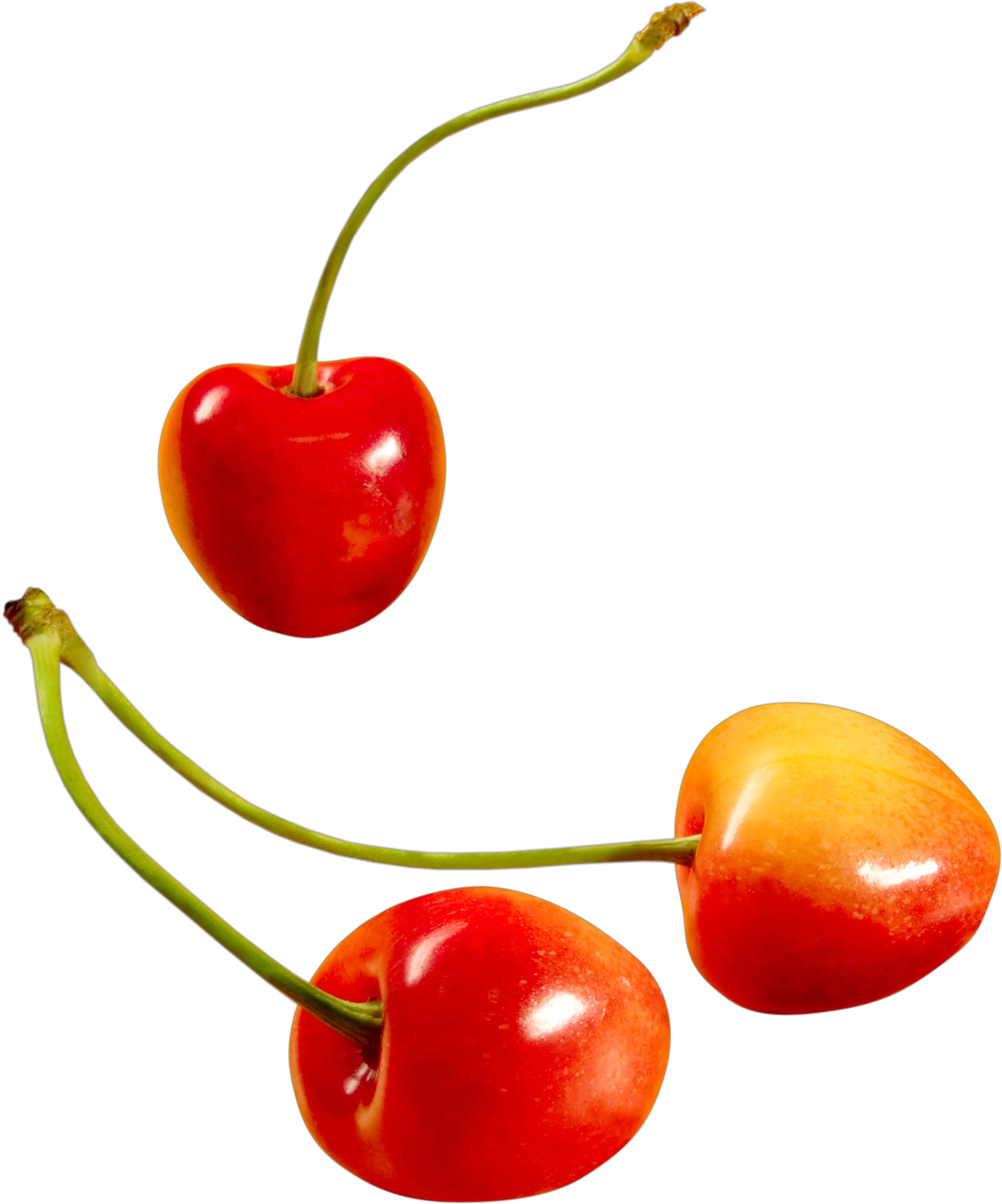 cherry PNG image