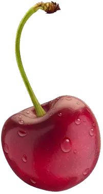 red cherry PNG image free download