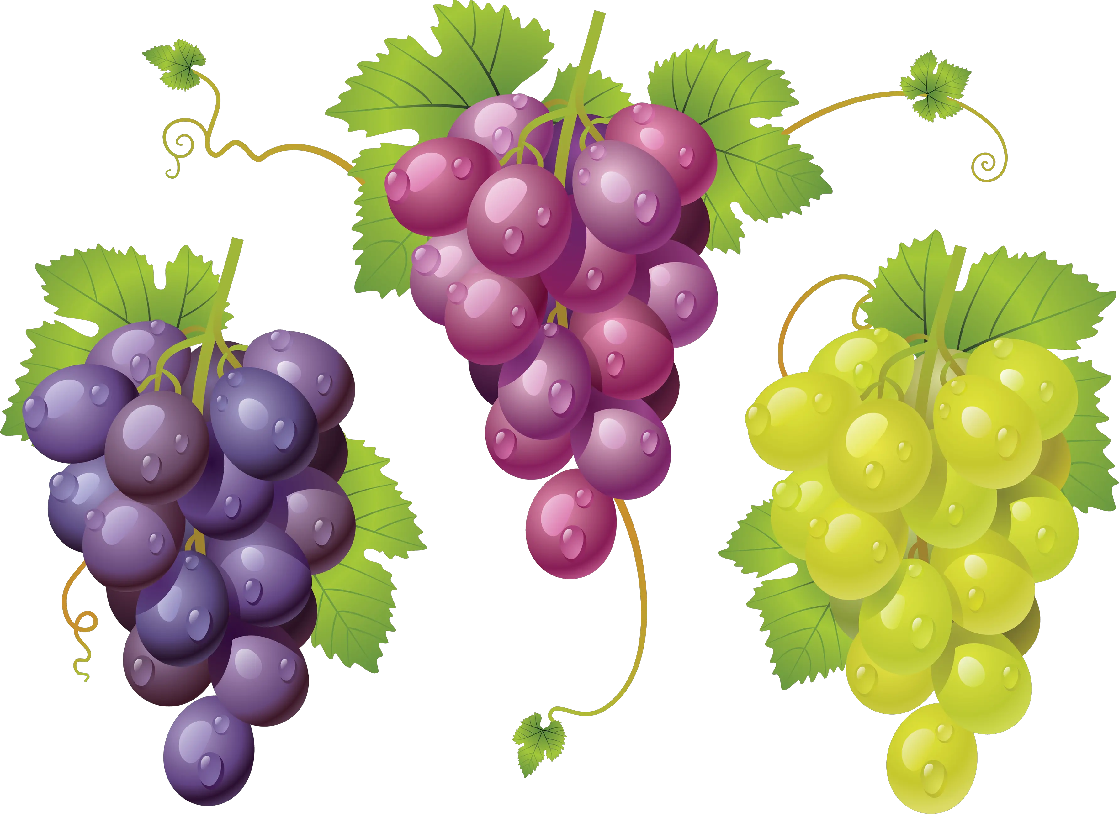 Grape PNG image