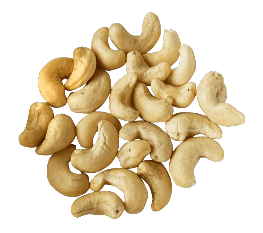 Cashew nut PNG