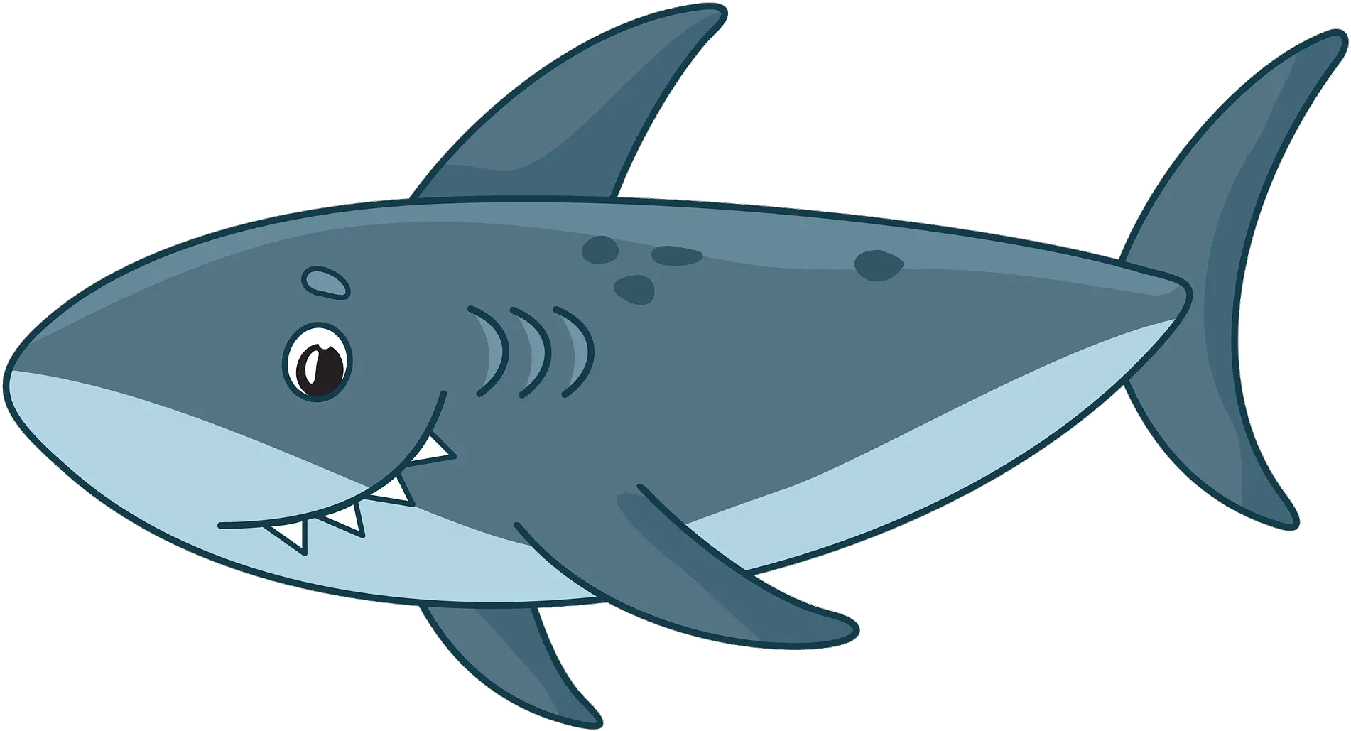 Shark PNG image