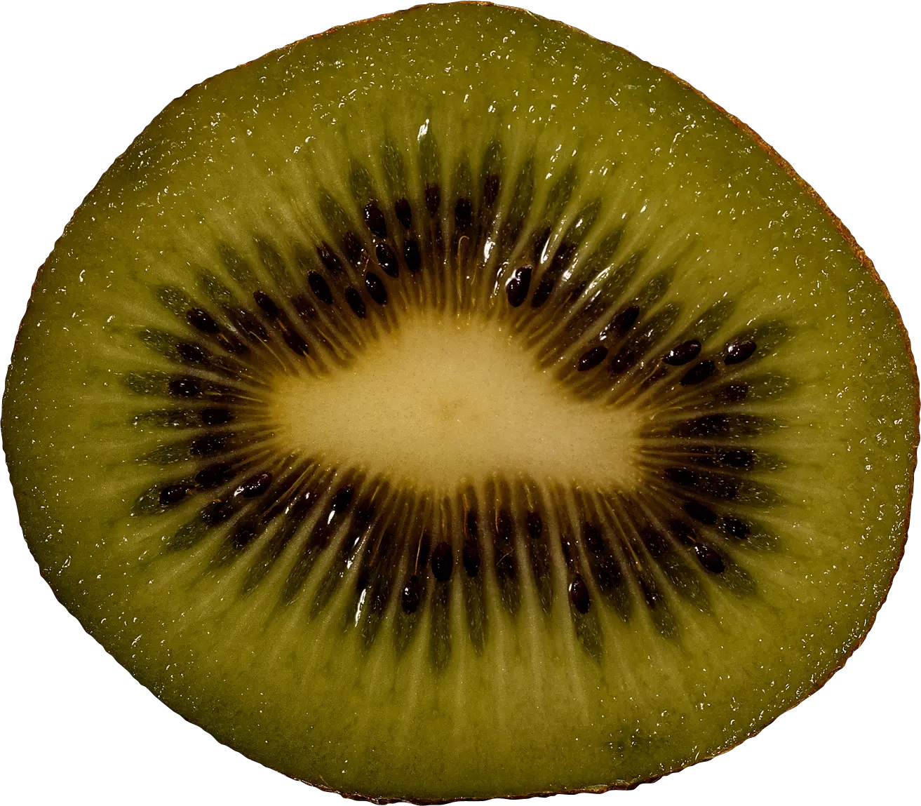 Kiwi PNG image free fruit kiwi PNG pictures download