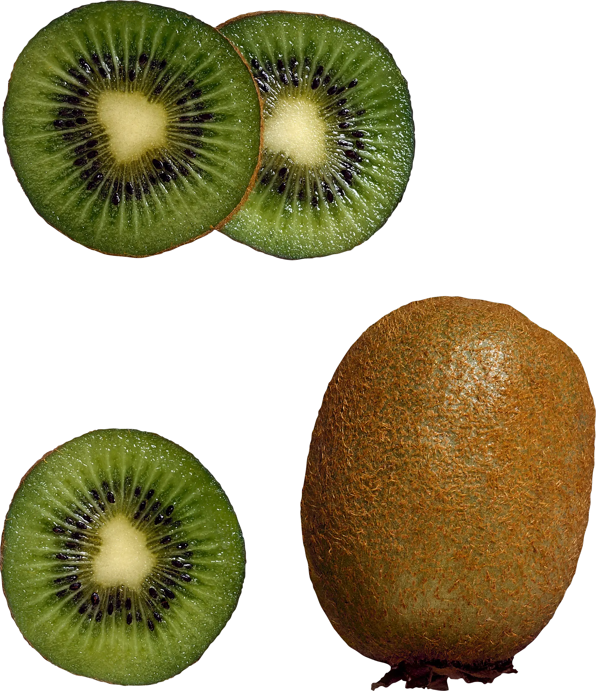 Kiwi PNG image free fruit kiwi PNG pictures download