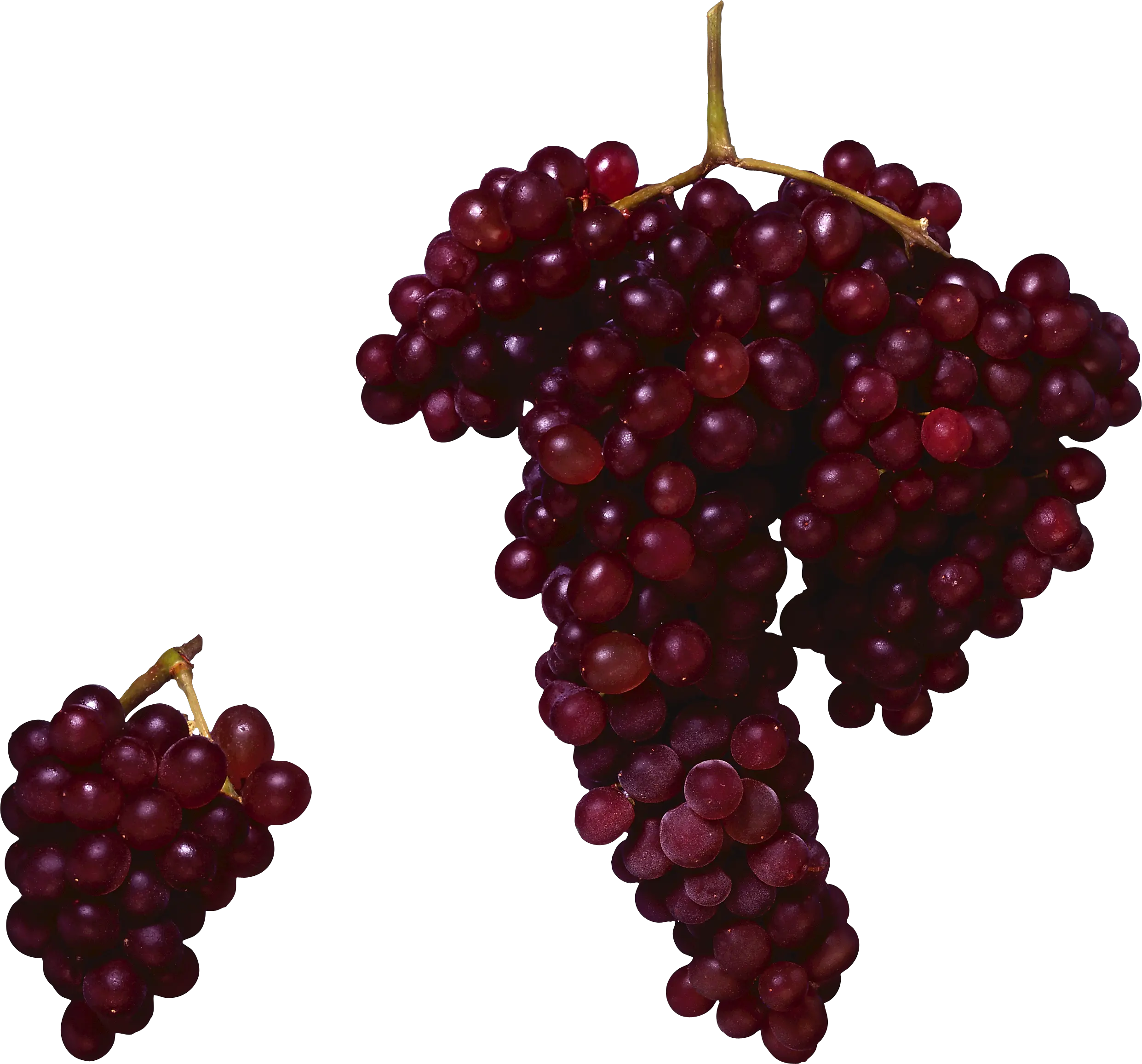 Red grape PNG image