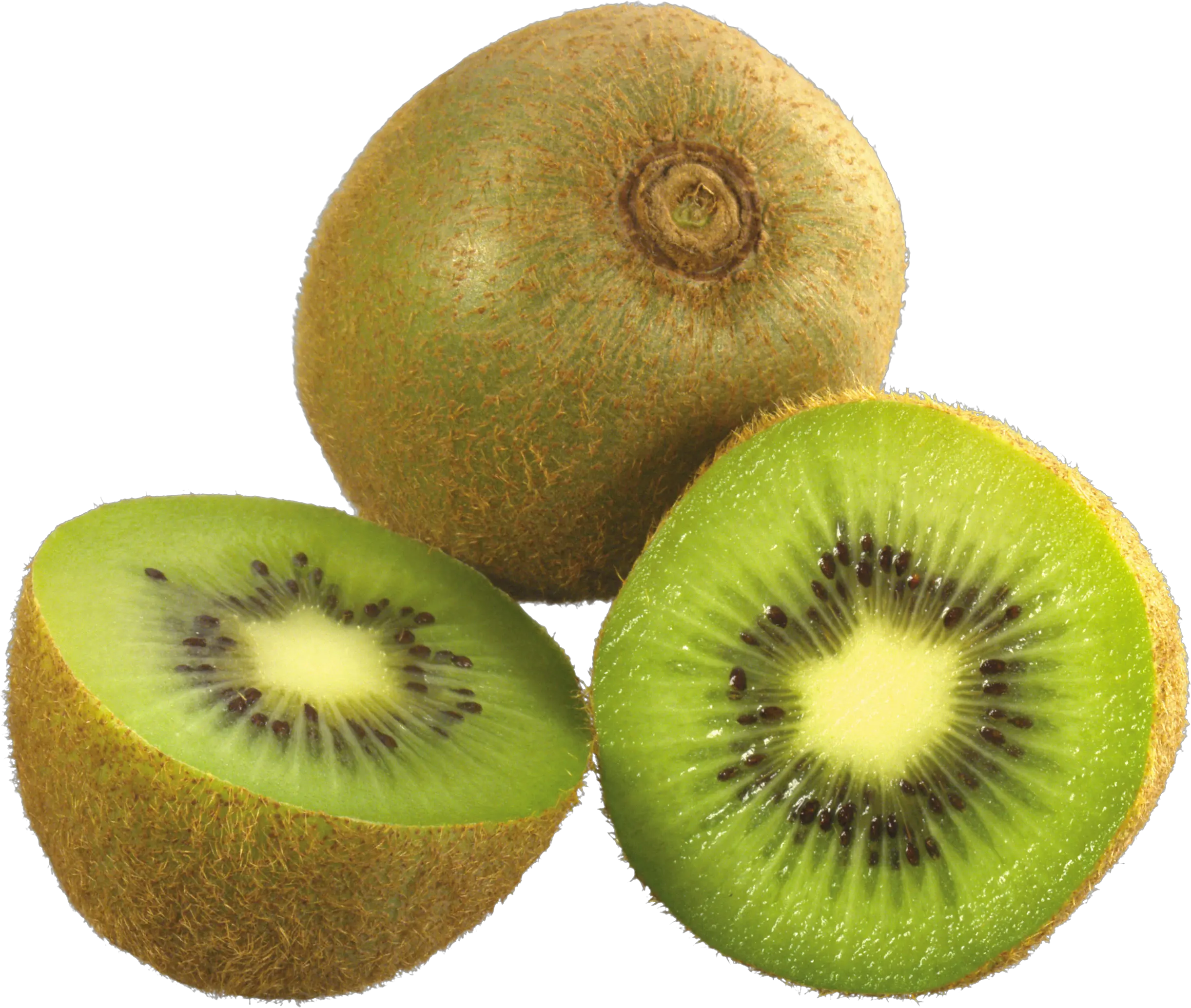 Kiwi PNG image free fruit kiwi PNG pictures download
