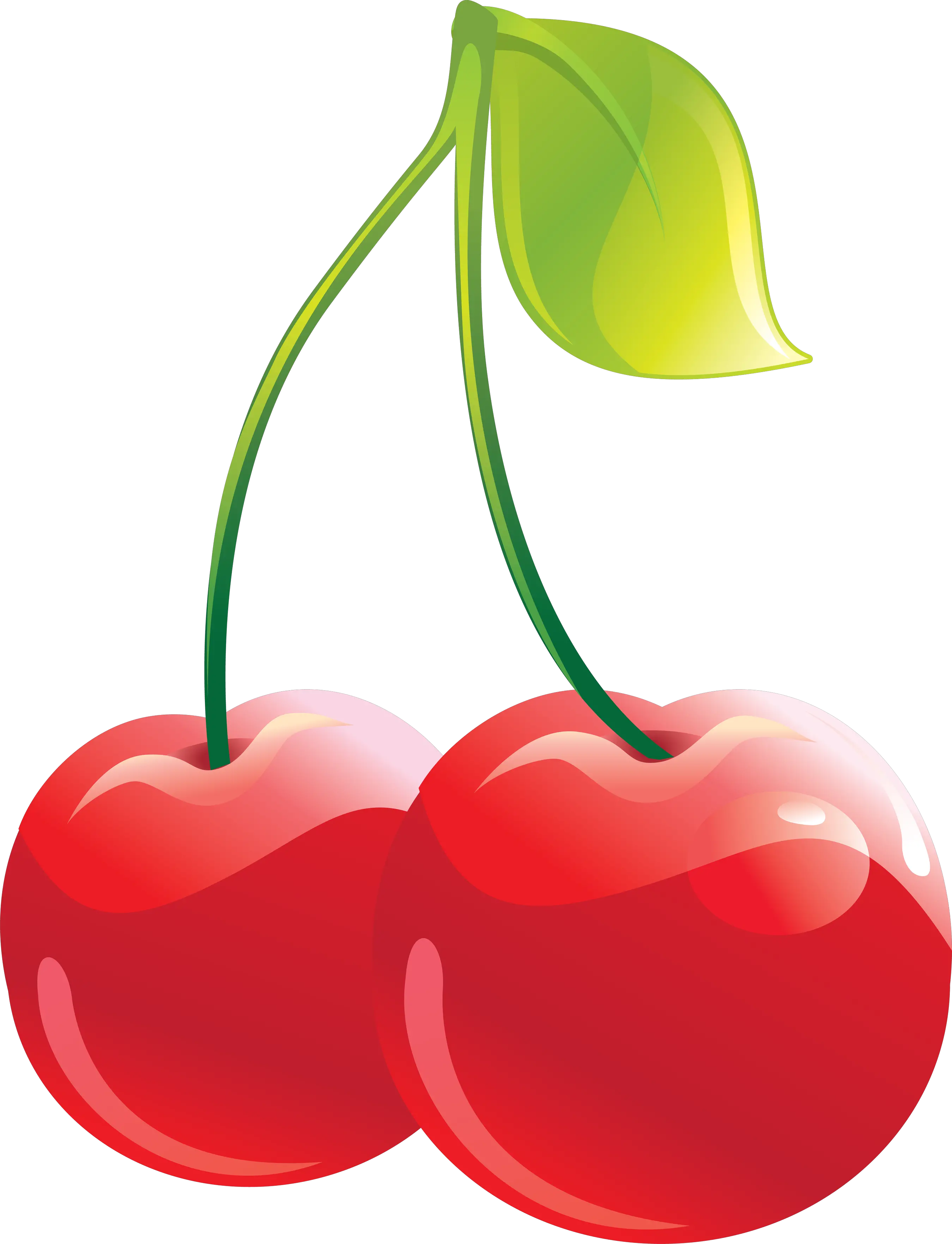 cherry PNG image
