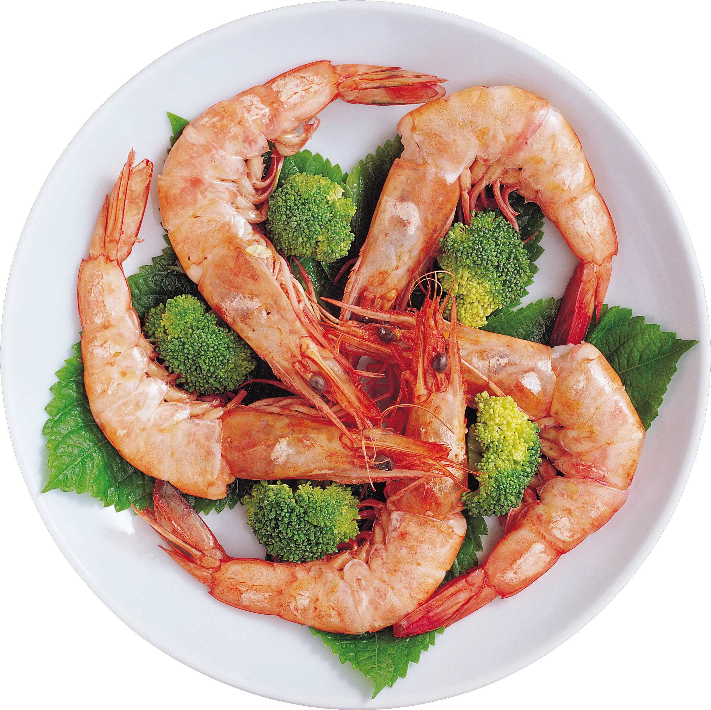 Shrimps plate PNG image
