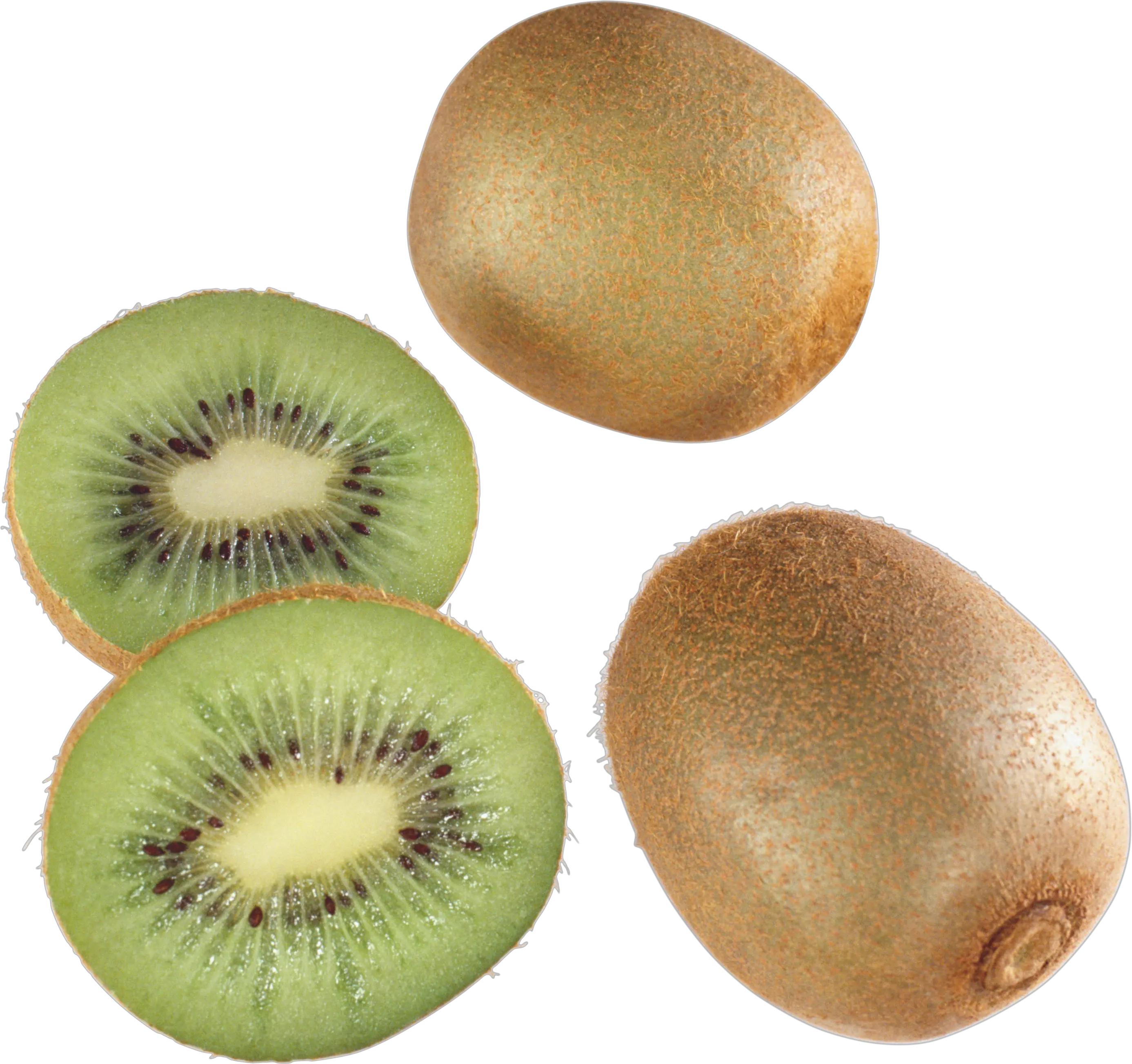 Kiwis PNG image picture