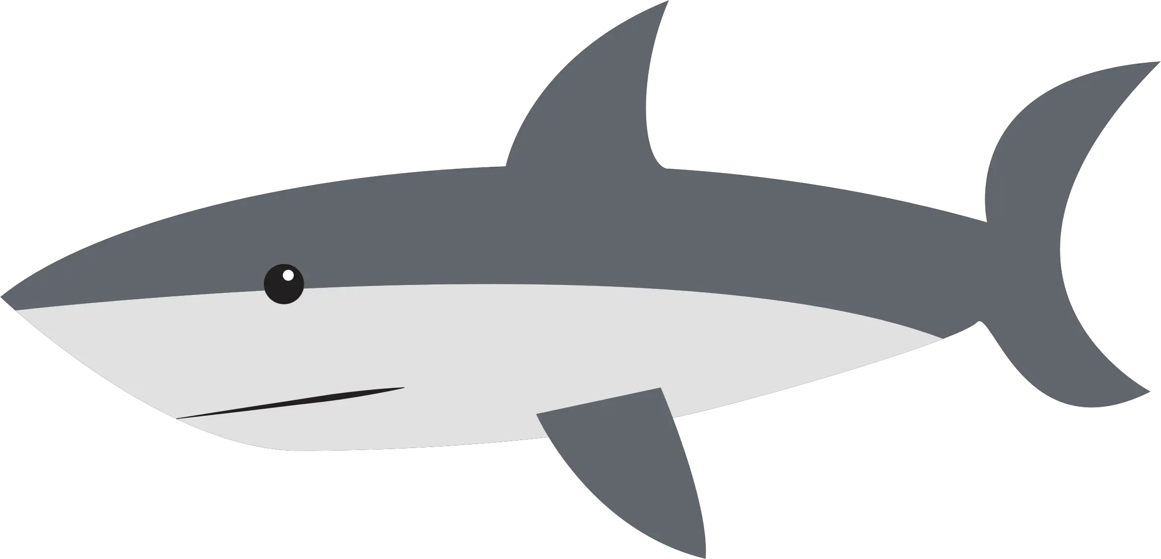 Shark PNG image