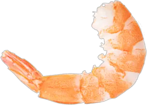 Shrimps PNG