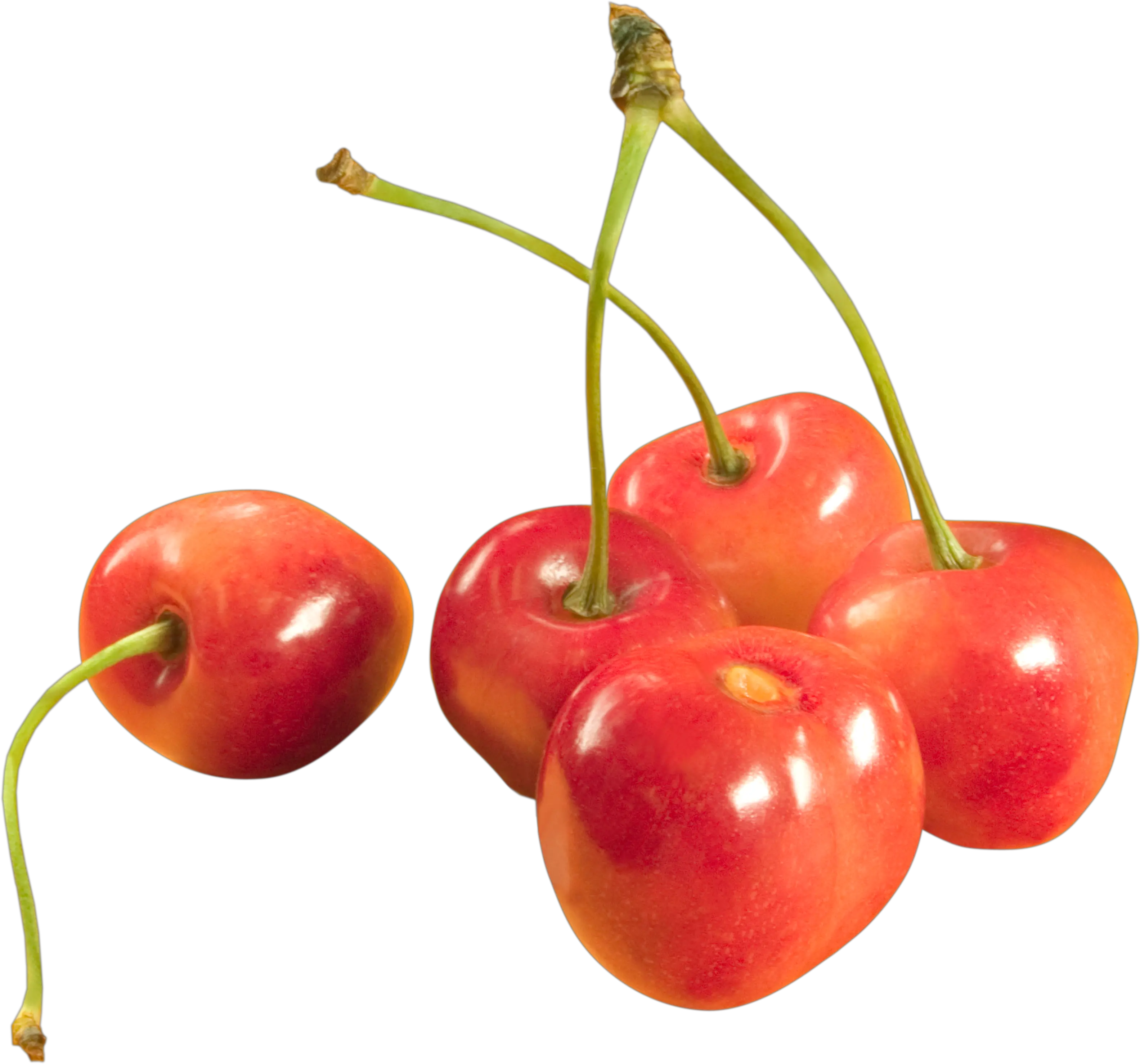 cherries PNG image