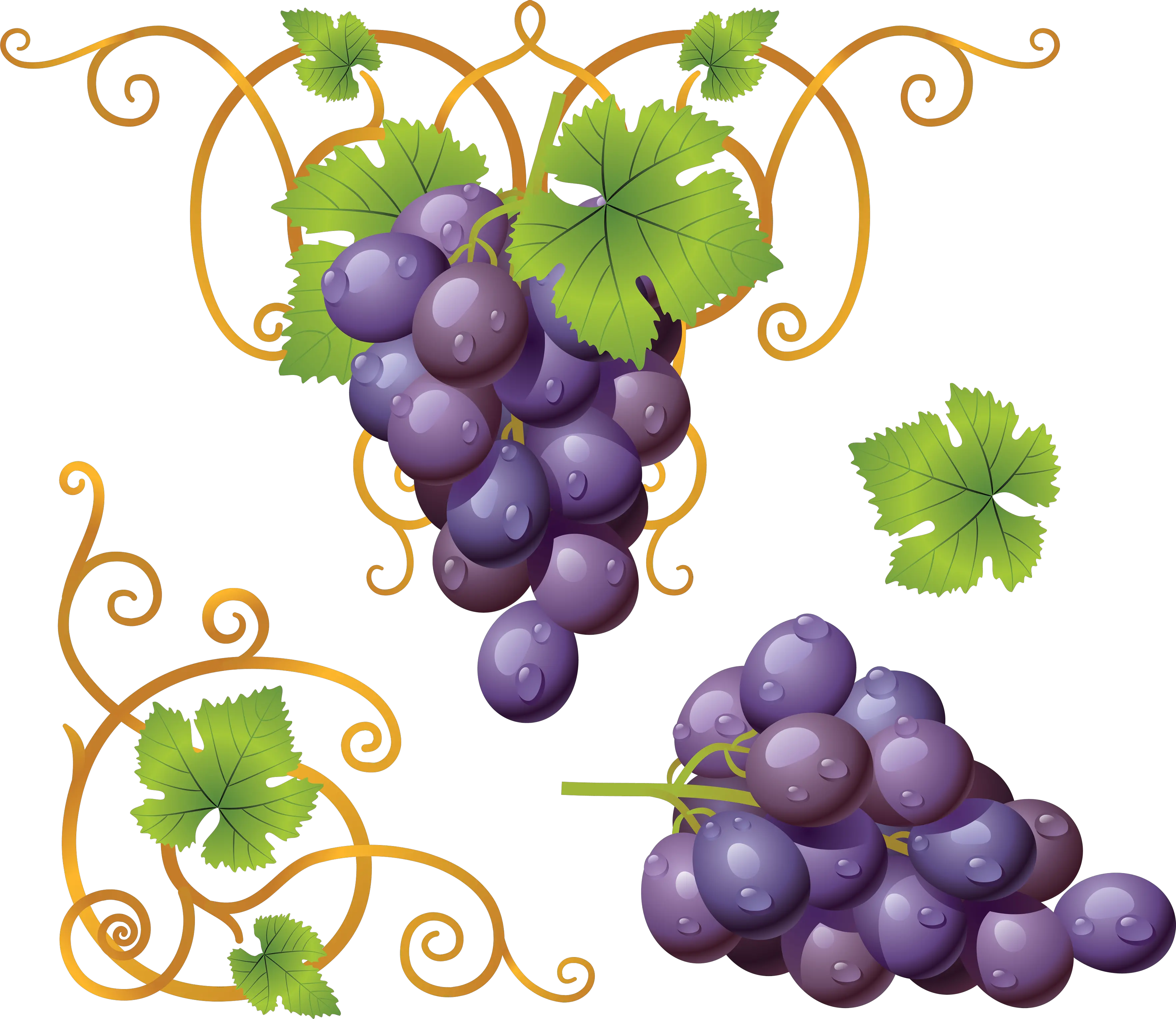 Grape PNG image