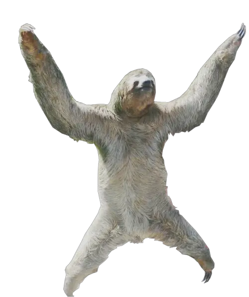 Sloth PNG