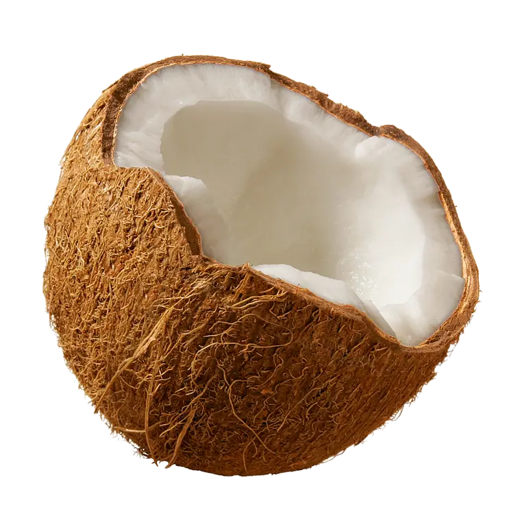 Coconut PNG image