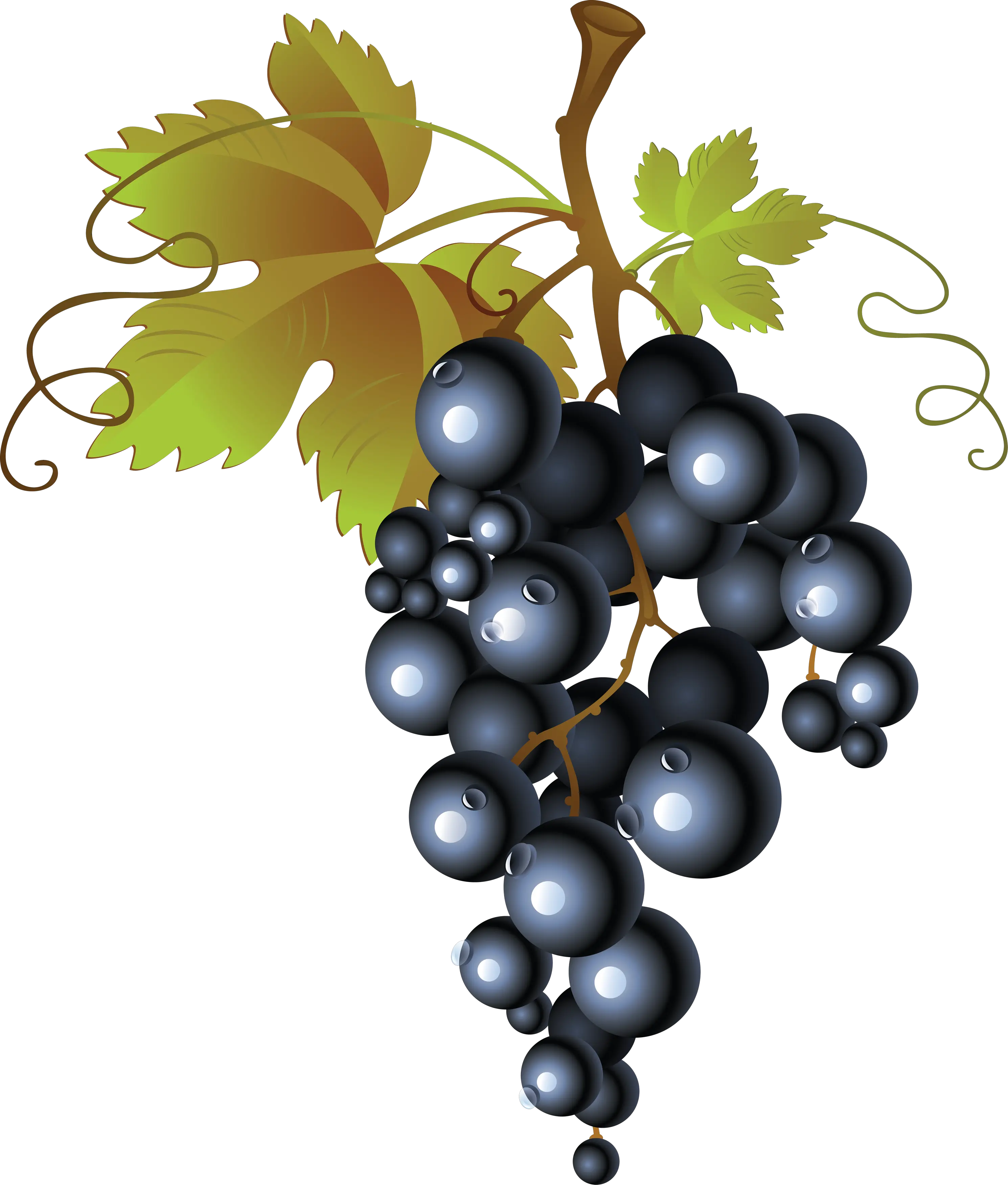 Grape PNG image