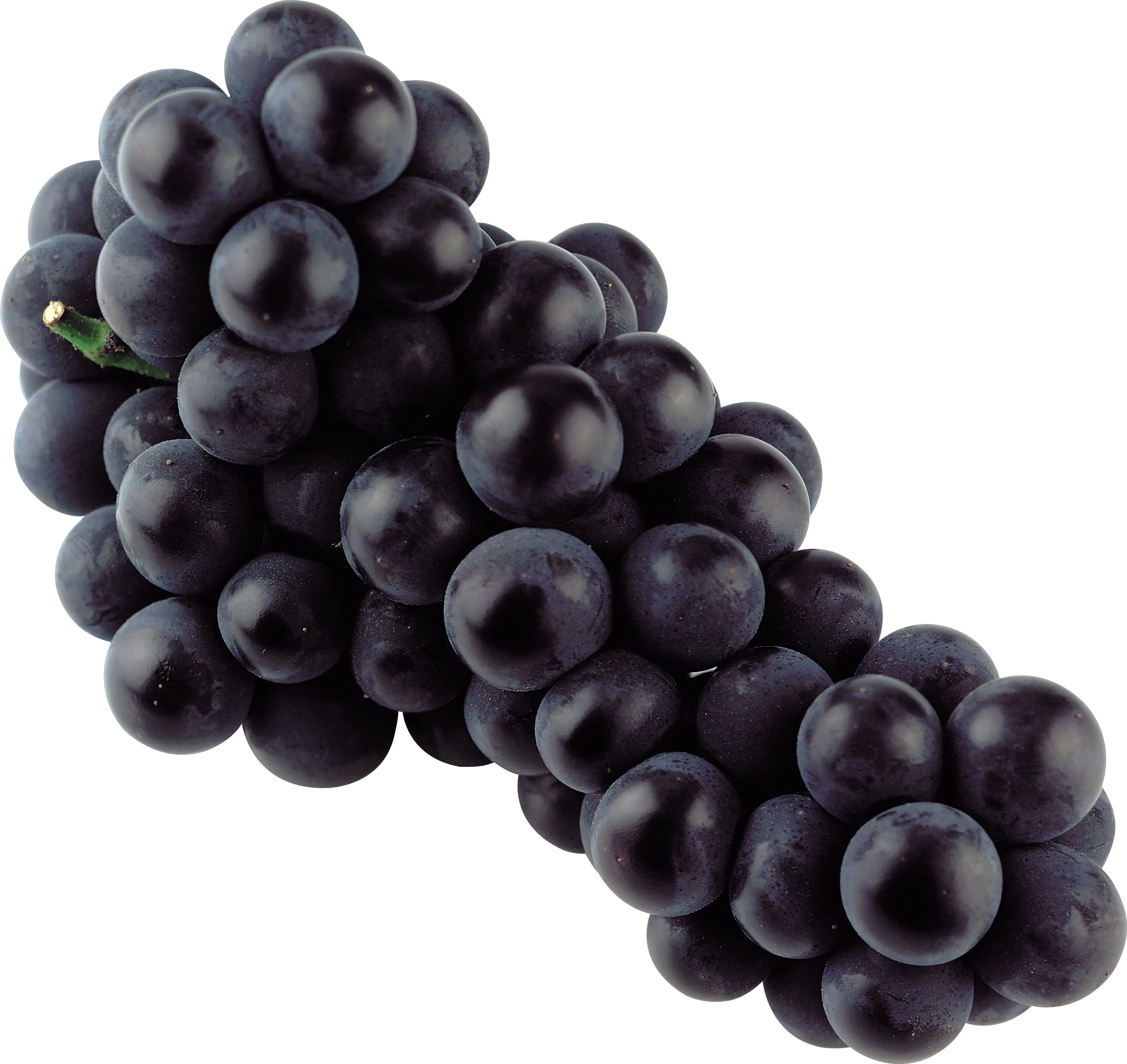 Black grape PNG image