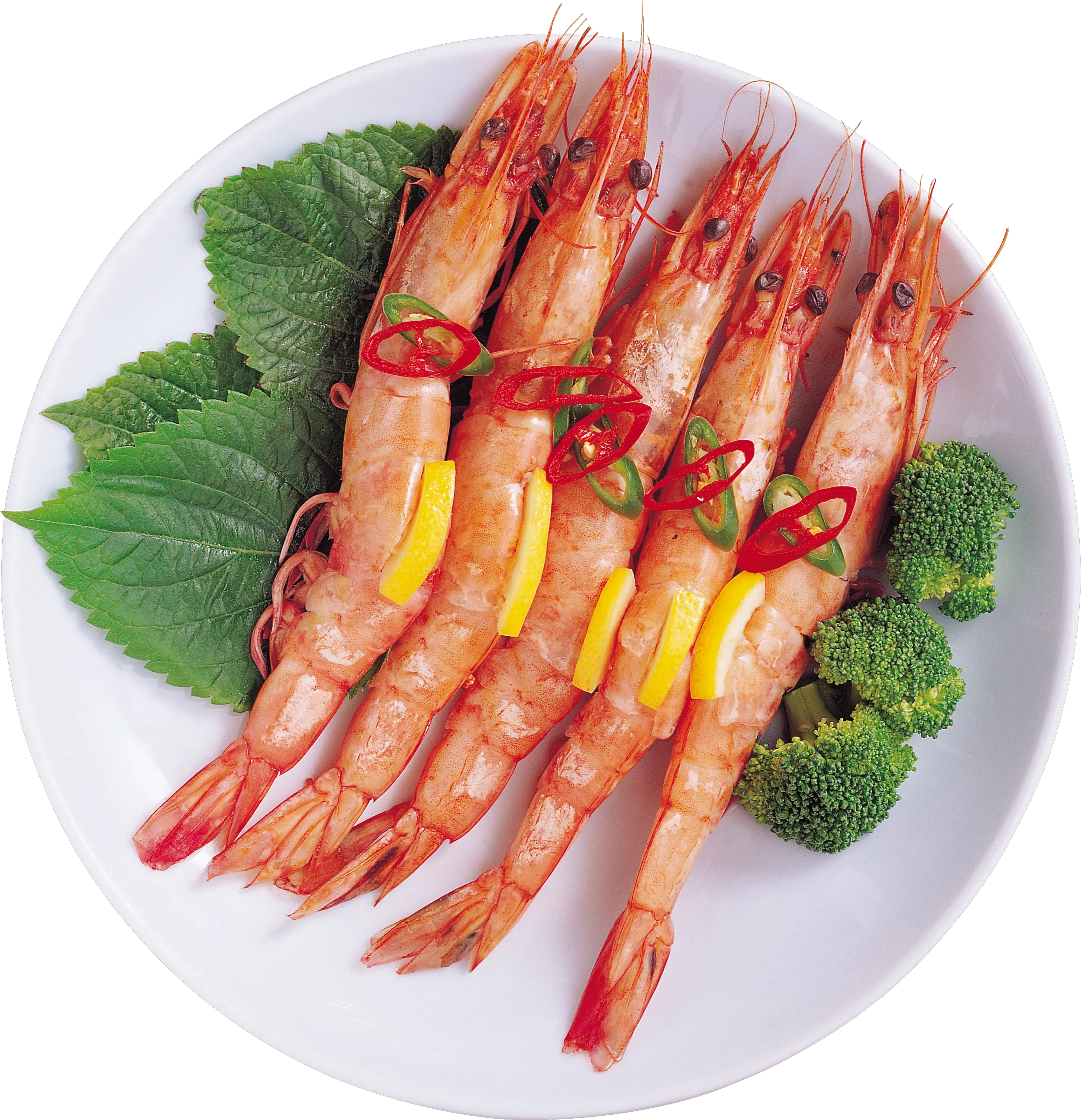 Shrimps PNG image