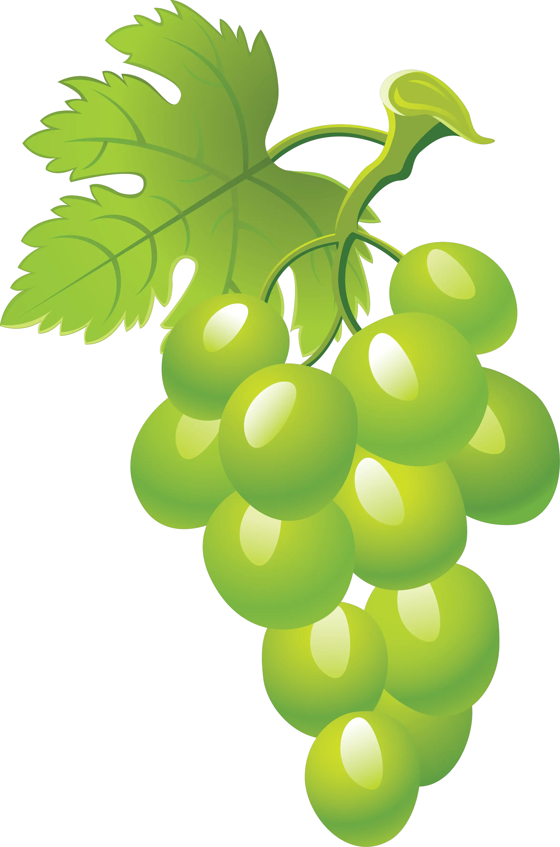 Green grape picture PNG image