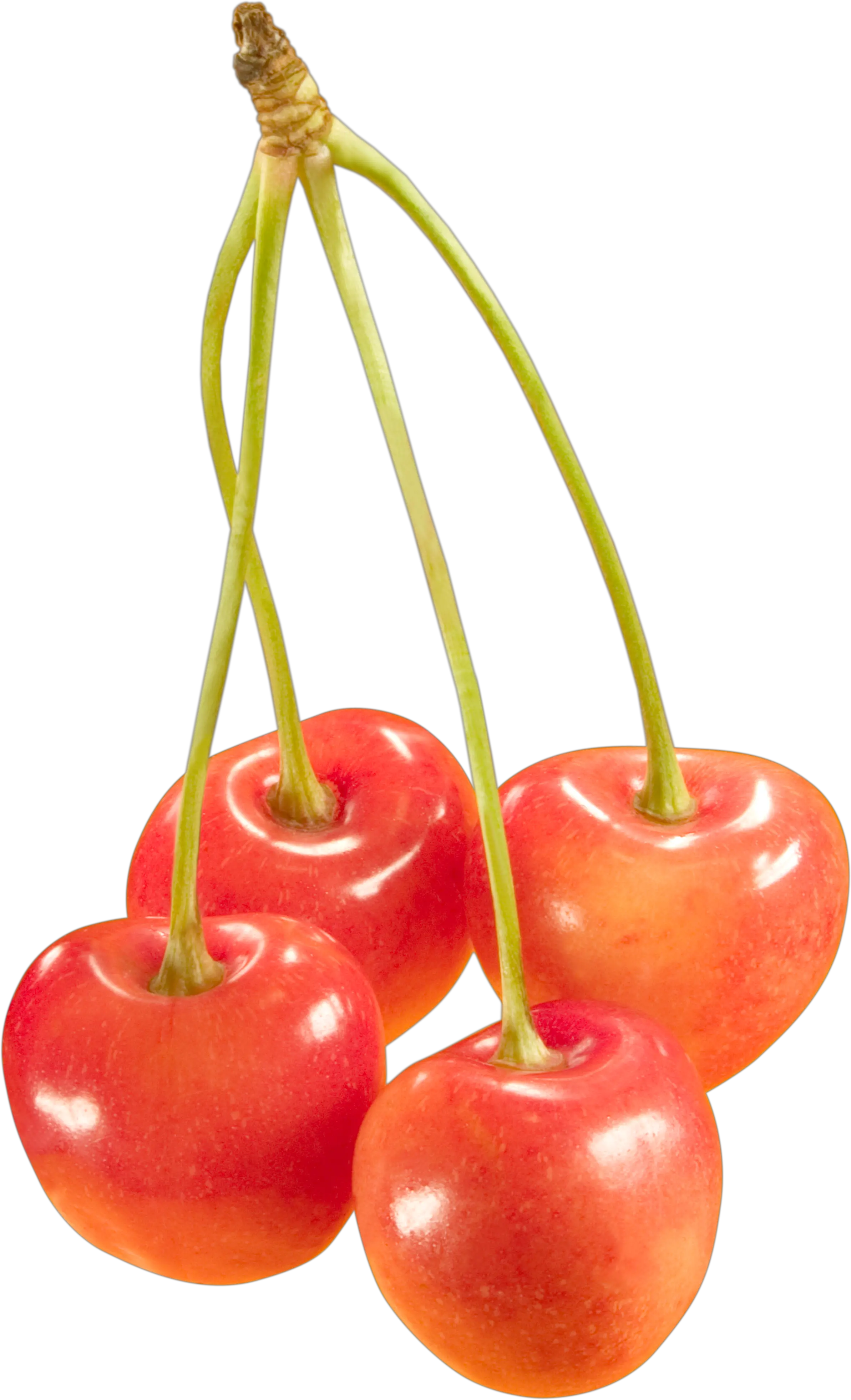 cherries PNG image