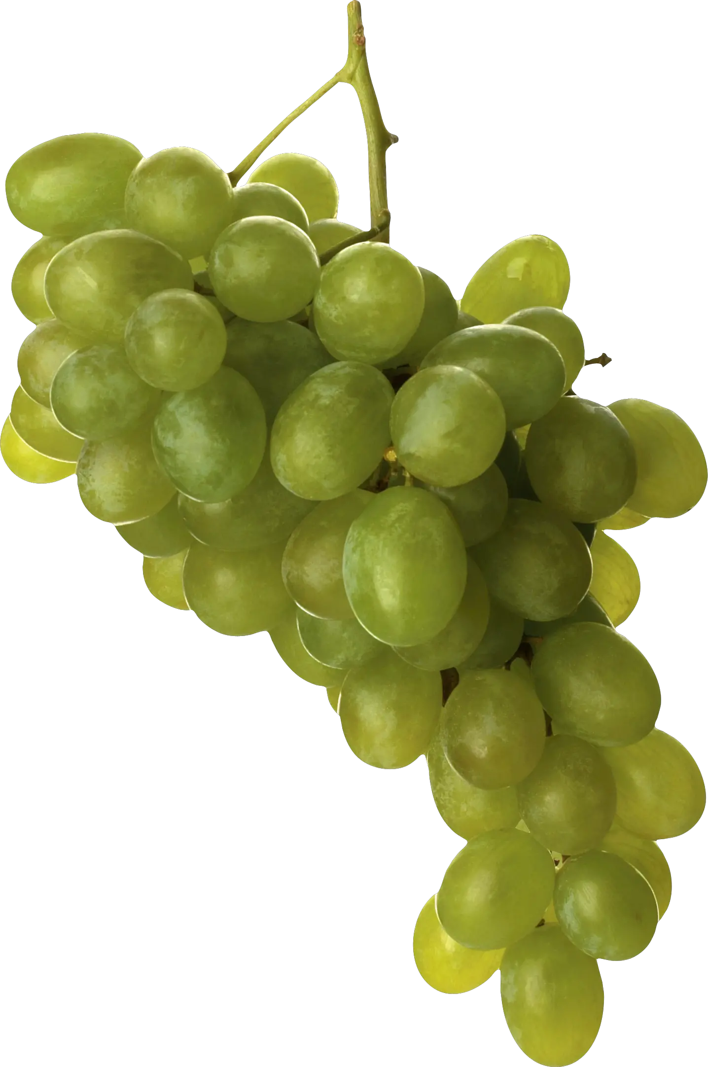 Green grape PNG image