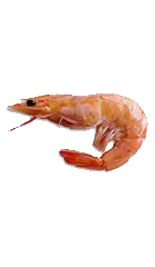 Shrimps PNG