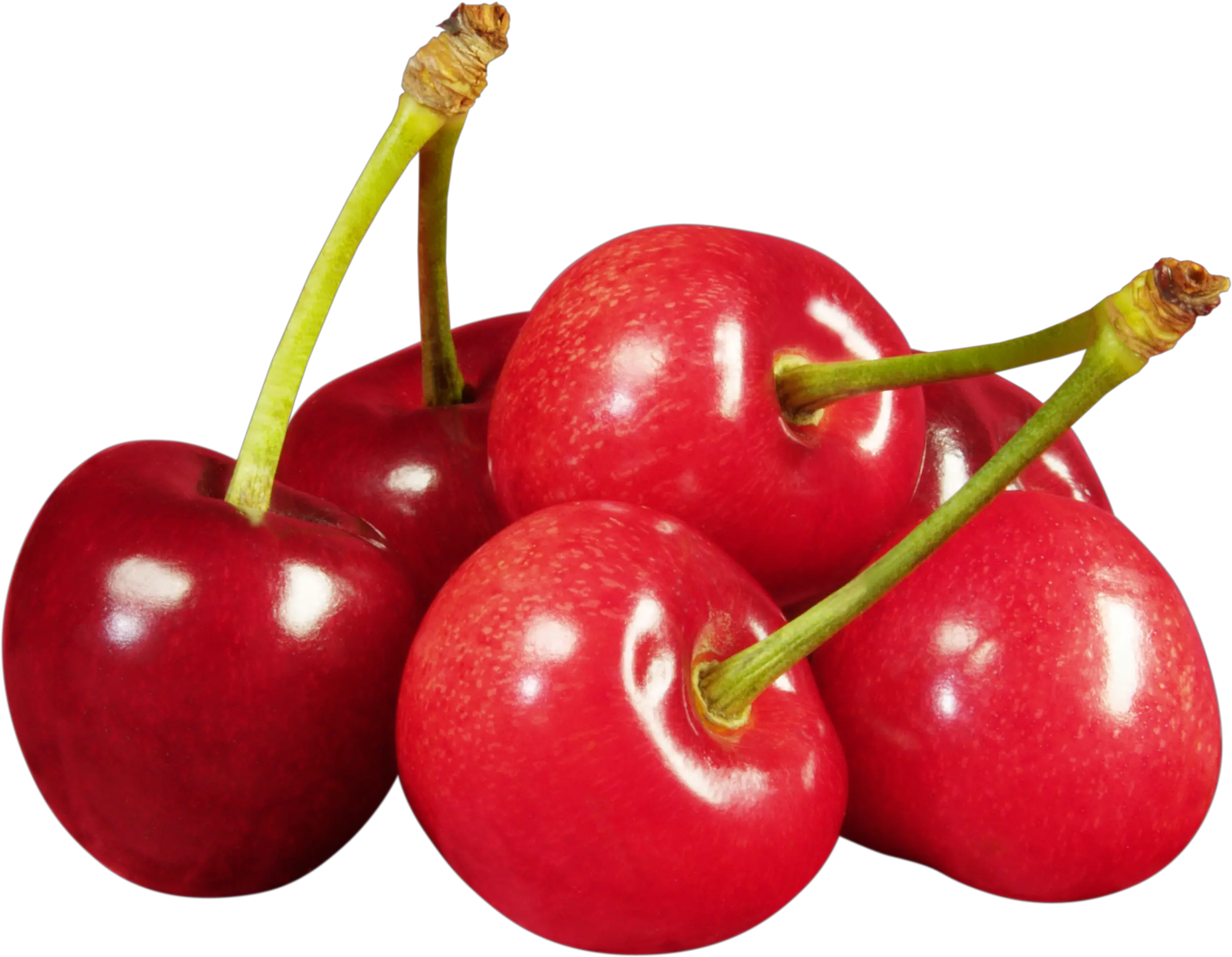 red cherry PNG image free download