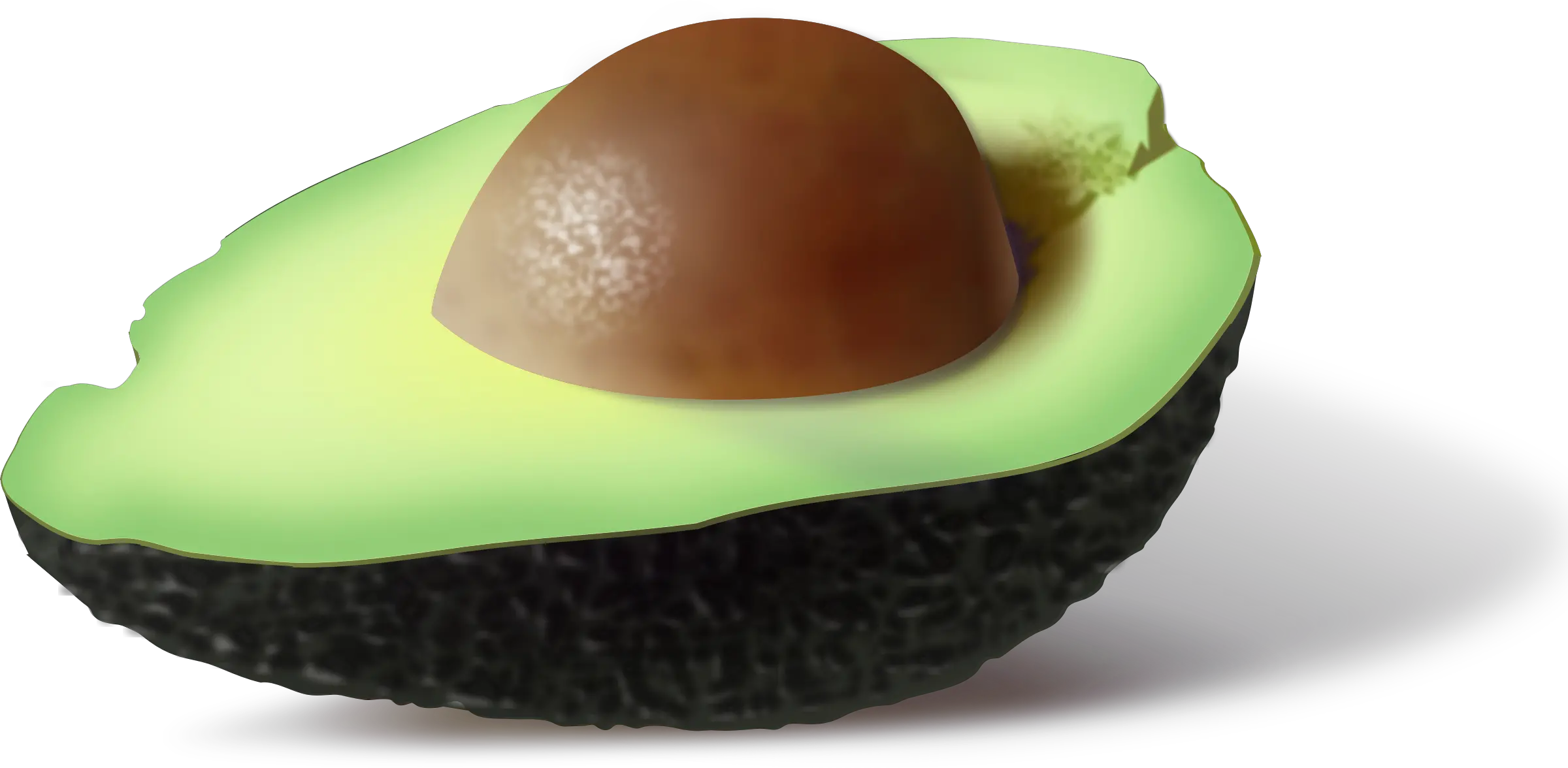 Cutted avocado PNG
