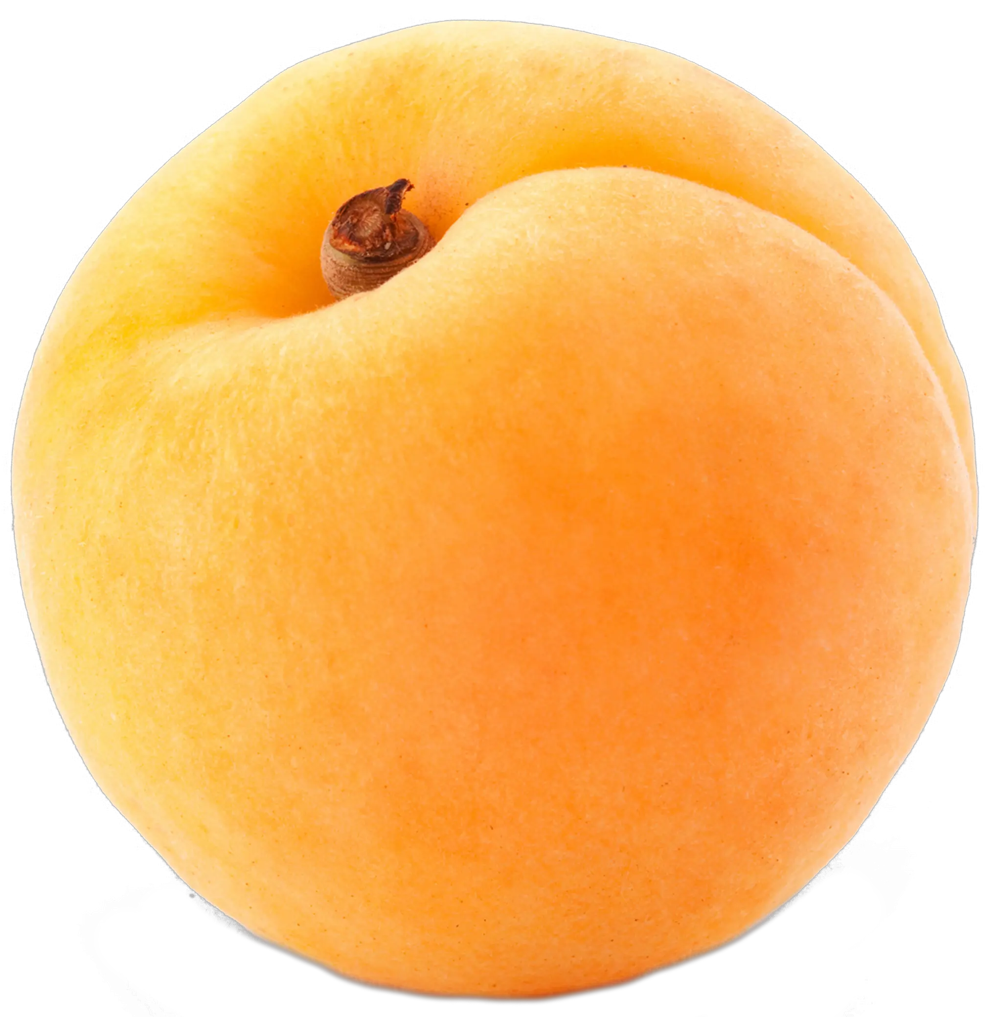 Apricot PNG