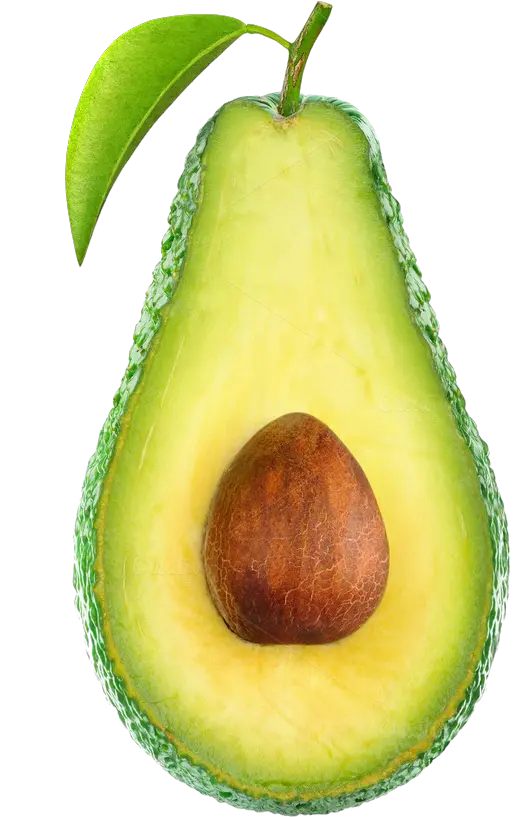 Avocado PNG