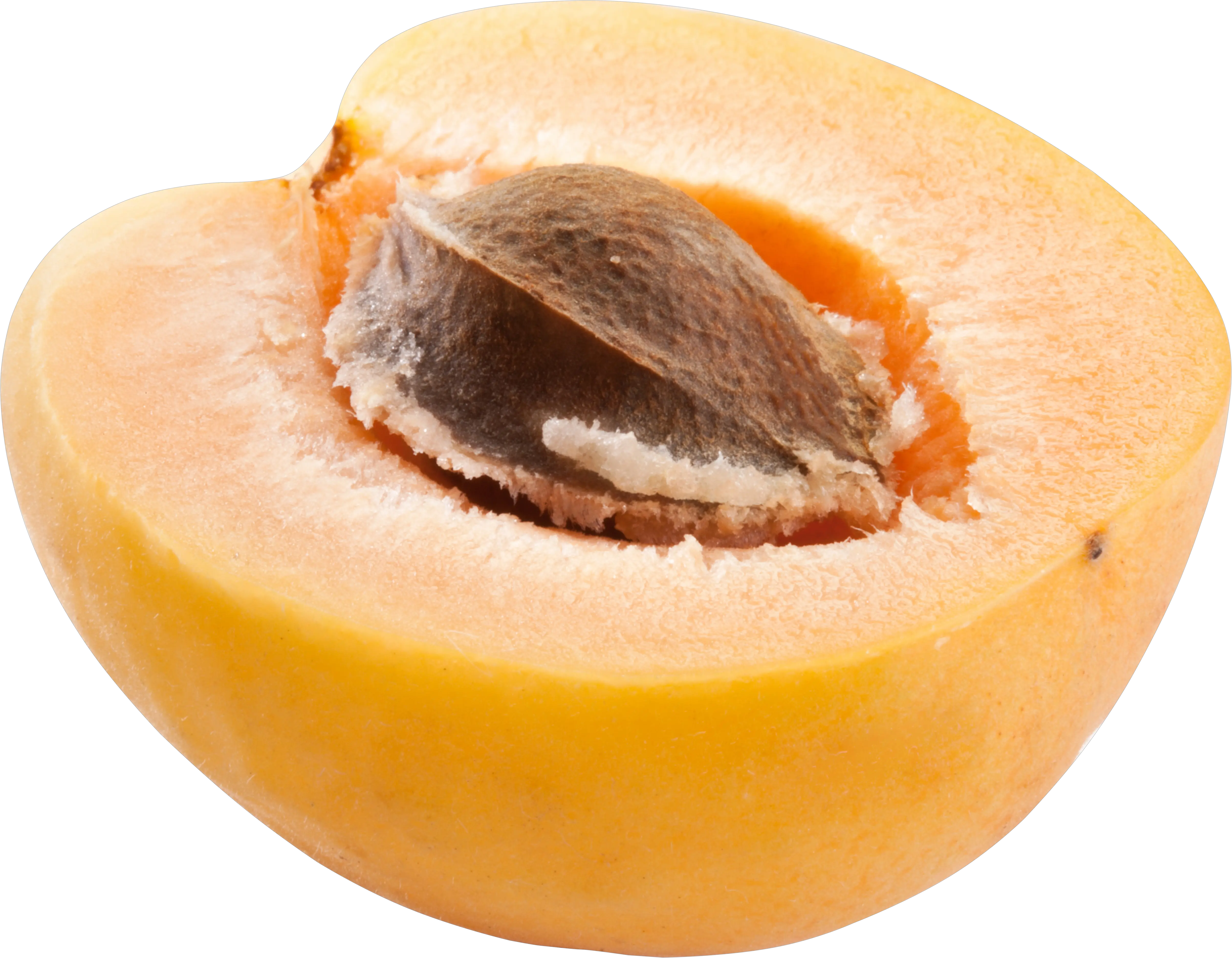 half apricot PNG