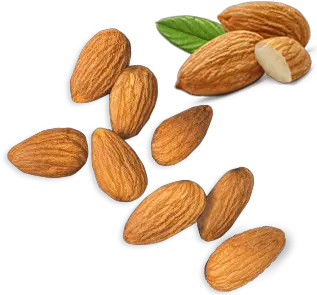 Almond PNG