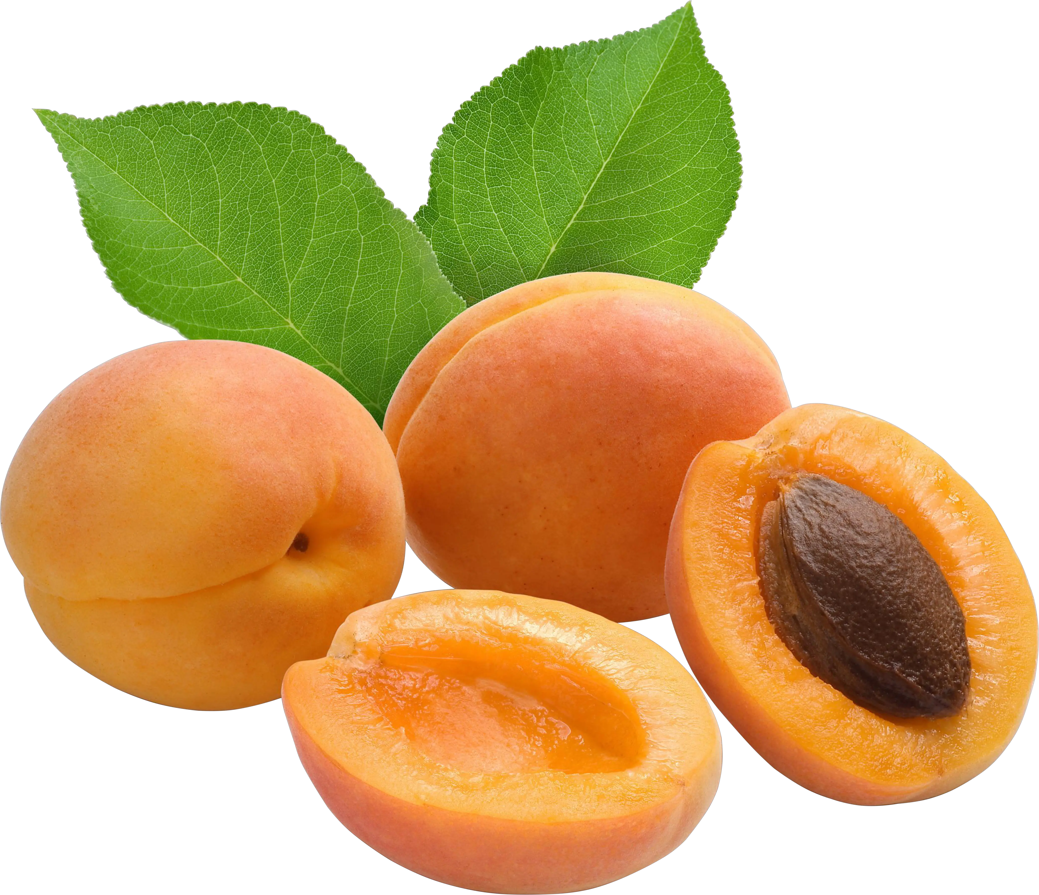Sliced Apricots transparent image PNG