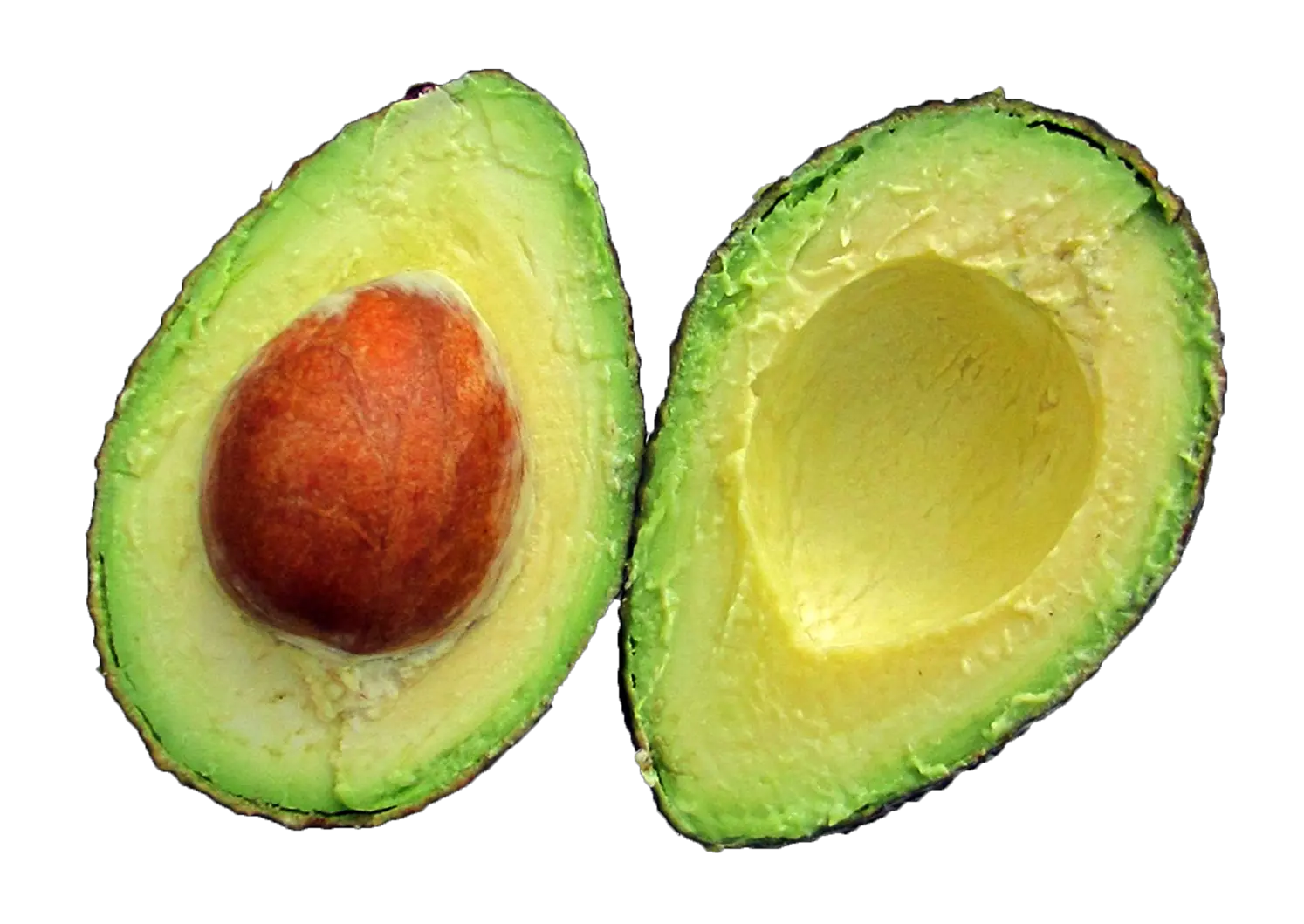 Avocado PNG