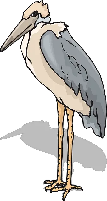 Pelican PNG