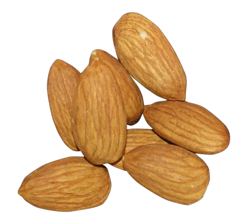 Almond PNG