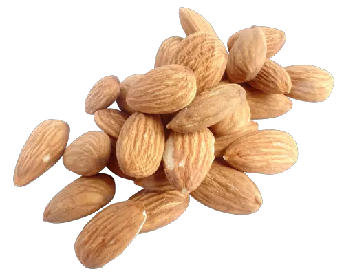 Almond PNG