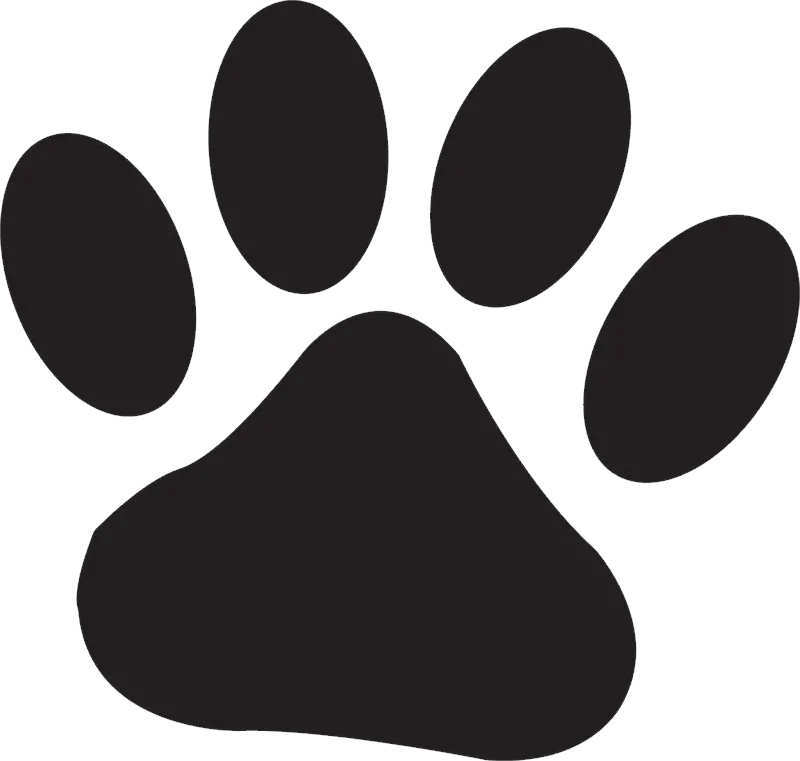 Paw PNG