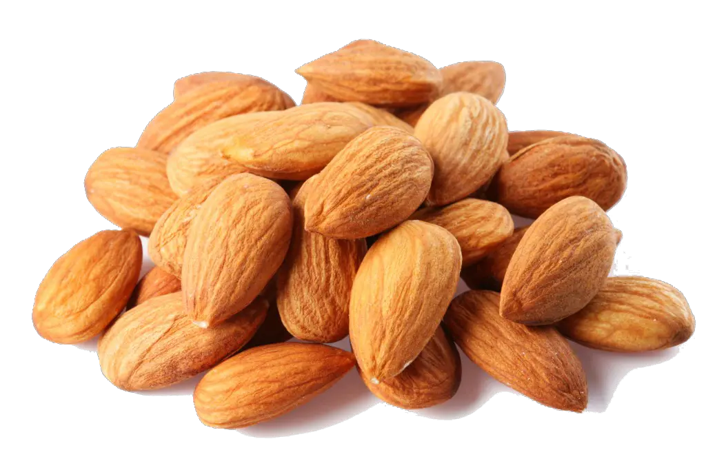 Almond PNG