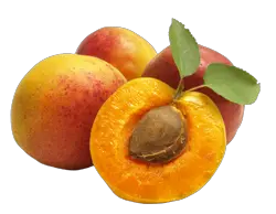 Apricots PNG transparent image apricot PNG